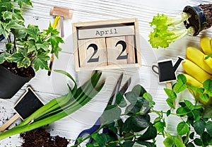 Young plants in pots, watering can, gloves for pottering on white wooden table. Wooden block calendar with date April 22