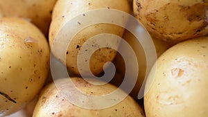 Young potatoes close up background left rotated