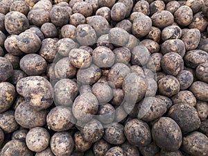 Young potatoes slide, texture. Potatoes on the shelf of the supermarket and market. Vegetables. Cooking.