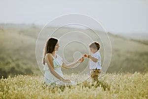 Young pregnant mother with her cute little boy in the field on beautiful sunny day