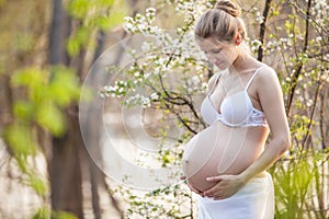 Young pregnant woman against blossoming tree