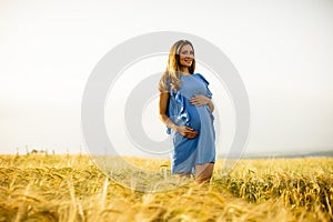 Young pregnant woman in blue dress relaxing outside in nature