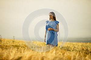 Young pregnant woman in blue dress relaxing outside in nature