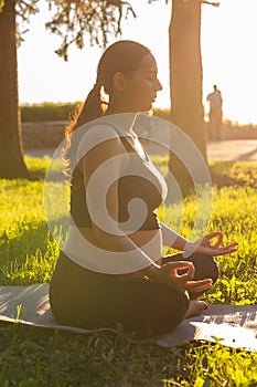 Young pregnant woman meditating in nature, practice yoga. Care of health and pregnancy