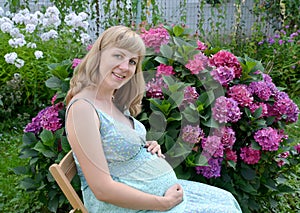 The young pregnant woman sits against the background of a bush of the blossoming hydrangea in a garden