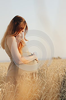 Young pregnant woman walks in ripe wheat field at sunset, expectant mother with red hair relax in nature stroking her belly with