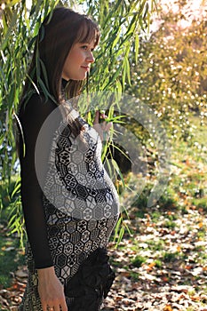 Young pregnant woman by willow tree
