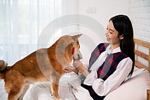 Young pretty Asian woman sitting and holding snack in hand and Brown Shiba inu dog lick