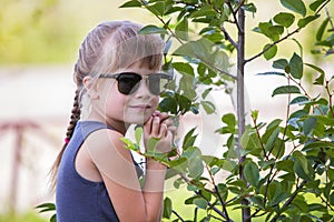 Young pretty child girl in fashionable sun glasses hugging green small tree in summer outdoors