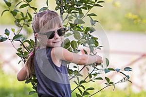 Young pretty child girl in fashionable sun glasses hugging green small tree in summer outdoors