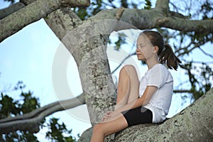 Young pretty child girl sitting relaxed between big branches of old tree on sunny summer day