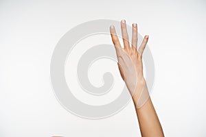 Young pretty female`s hand showing up four fingers while posing against white background, showing signs of counting with raised
