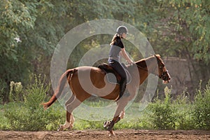 Young pretty girl riding a horse with backlit leaves behind