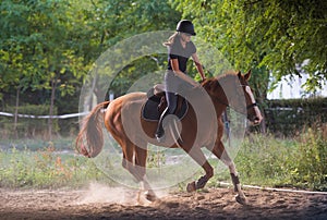 Young pretty girl riding a horse with backlit leaves behind