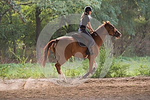 Young pretty girl riding a horse with backlit leaves behind