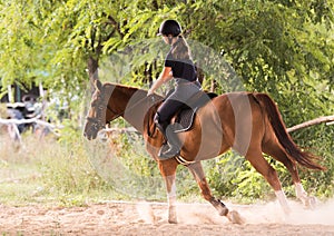 Young pretty girl riding a horse with backlit leaves behind