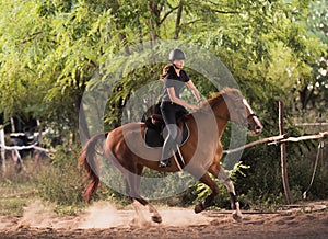 Young pretty girl riding a horse with backlit leaves behind