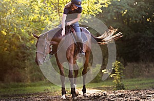 Young pretty girl riding a horse with backlit leaves behind