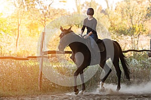 Young pretty girl riding a horse with backlit leaves behind