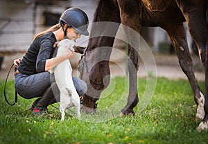 Young pretty girl riding a horse with backlit leaves behind