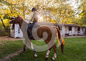 Young pretty girl - riding a horse with backlit leaves behind