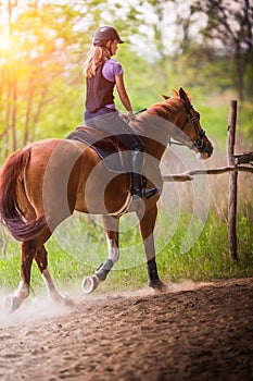 Young pretty girl riding a horse with backlit leaves behind in s