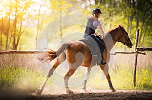 Young pretty girl riding a horse with backlit leaves behind in s