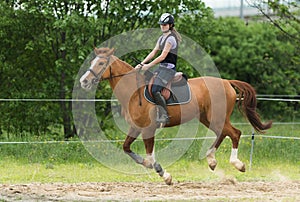 Young pretty girl riding a horse with backlit leaves behind in s