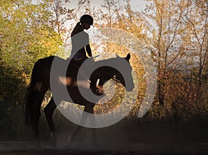 Young pretty girl - riding a horse with backlit leaves behind