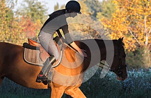 Young pretty girl - riding a horse with backlit leaves behind