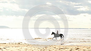 Young pretty girl riding horse in river water