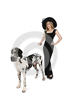 Young pretty woman with a large Great Dane dog