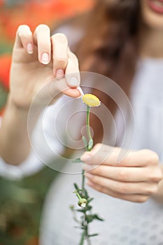 Young pretty woman with long hair guessing on daisy or chamomile flower, tearing last petal by fingers.