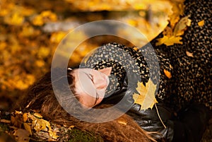 Young pretty woman relaxing in the autumn park