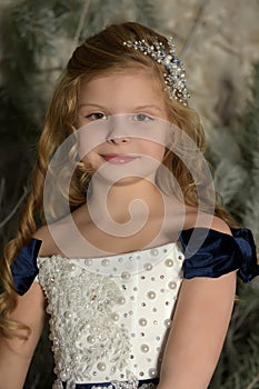 Young princess blonde with a beautiful hairdo,