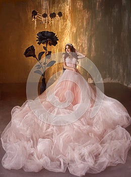 The young princess sits on a chair near the huge black roses in the Gothic style. The girl has a crown and a luxurious