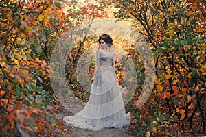 A young princess walks in golden autumn nature