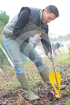 Young professionnal gardener putting post in earth