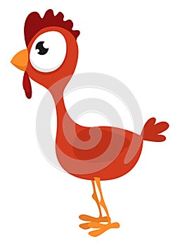 Young red hen, illustration, vector