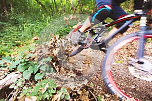 Sport. A cyclist on a bike with a mountain bike in the forest