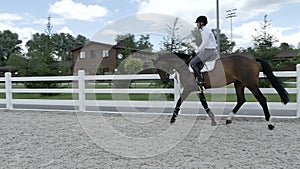 Young rider canter at the arena