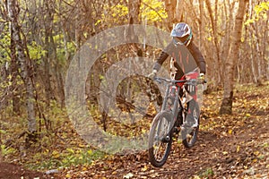 A young rider driving a mountain bike rides at speed downhill in the autumn forest.