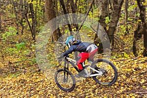 A young rider driving a mountain bike rides at speed downhill in the autumn forest.
