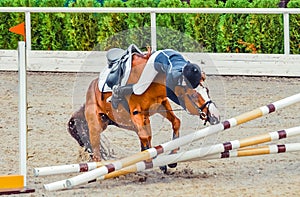 Young rider falling from horse during a competition. Horse show jumping accident.