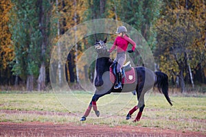 Young rider girl on bay horse in the autumn park photo