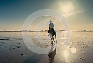 Young rider girl galloping on the beach with her mare