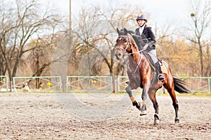 Young rider girl on horse trotting on show jumping