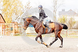 Young rider girl on horse trotting on show jumping