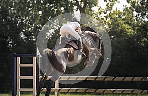 Young rider girl jumping on horse over obstacle