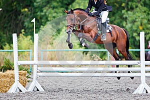 Young rider girl jumping on horse over obstacle